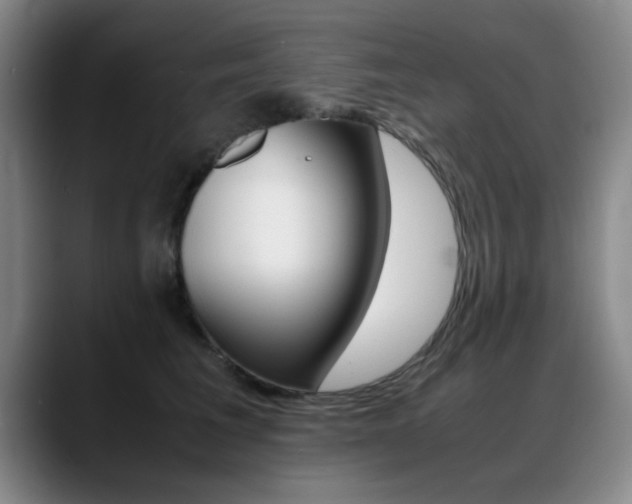 X0000089370613200706150844