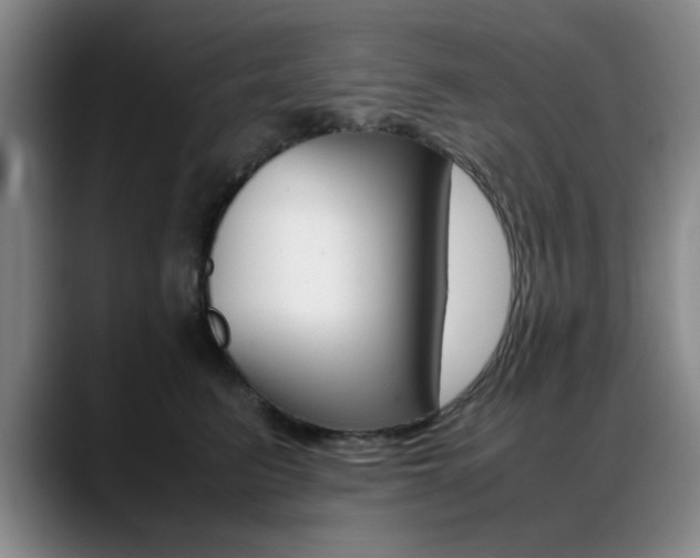 X0000089370615200706150844