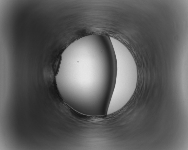 X0000089370617200706150844