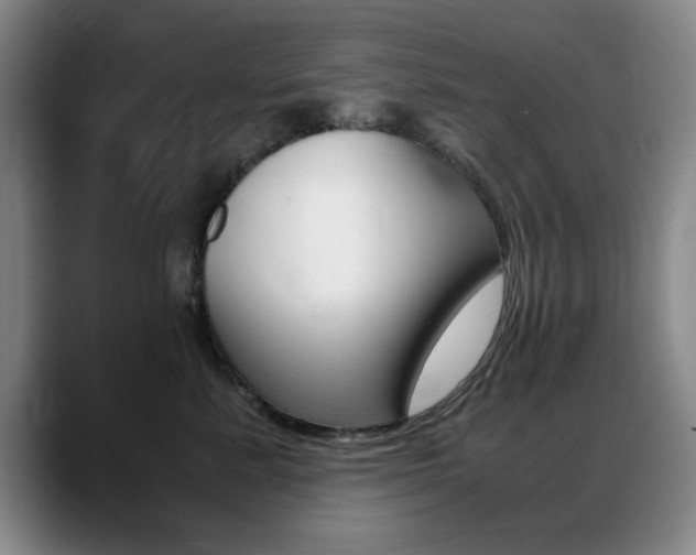 X0000089370619200706150844