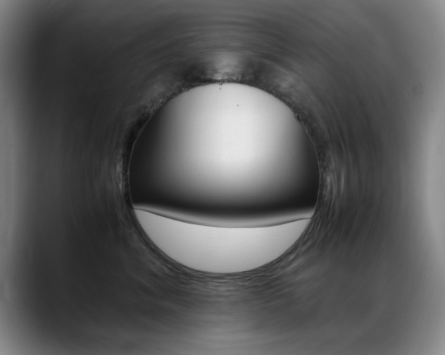 X0000089370620200706150844
