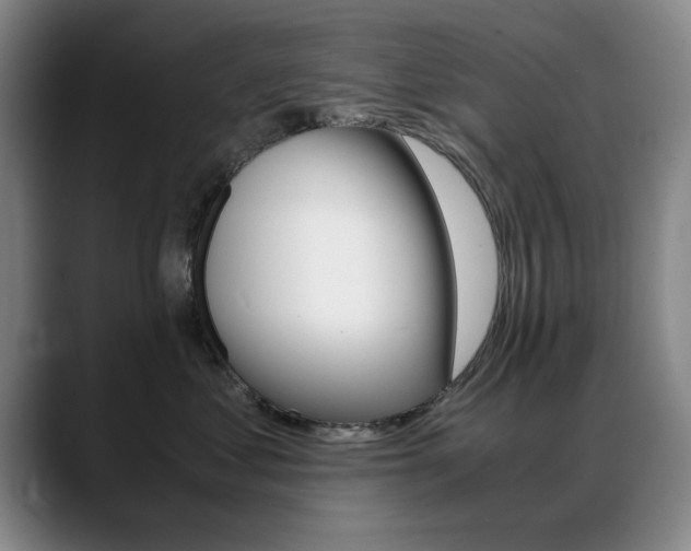 X0000089370621200706150844