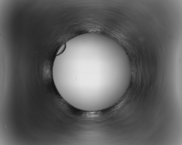 X0000089370622200706150844