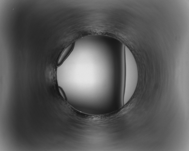 X0000089370624200706150844