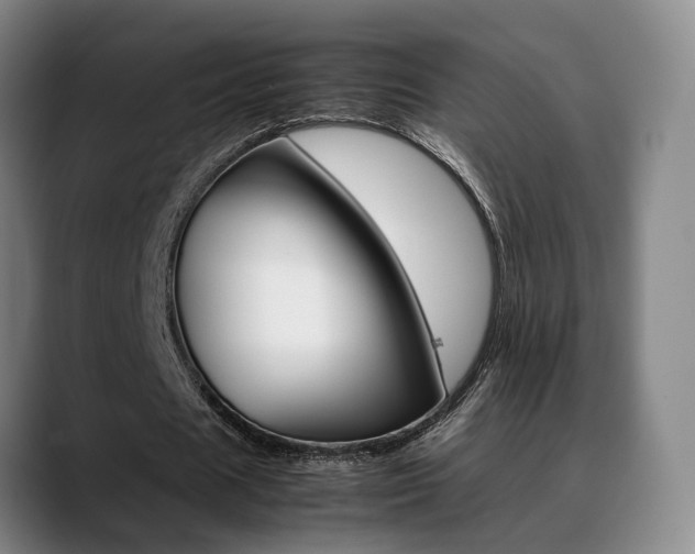 X0000089370625200706150844