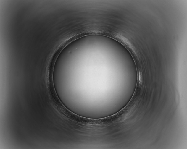 X0000089370627200706150844