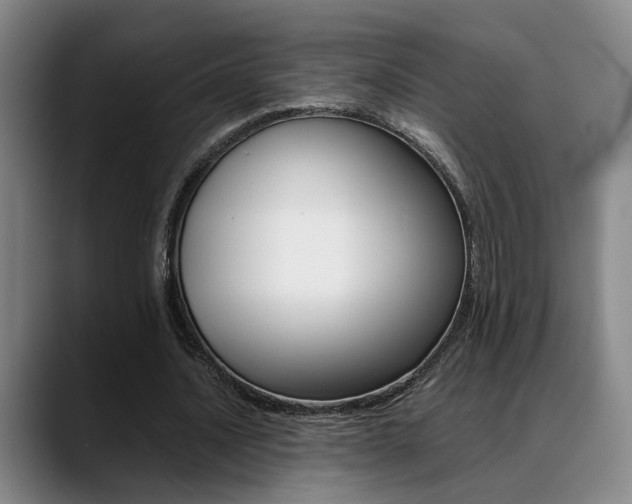 X0000089370628200706150844