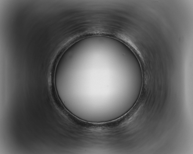 X0000089370629200706150844