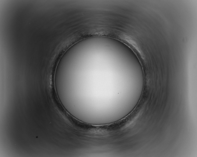 X0000089370633200706150844