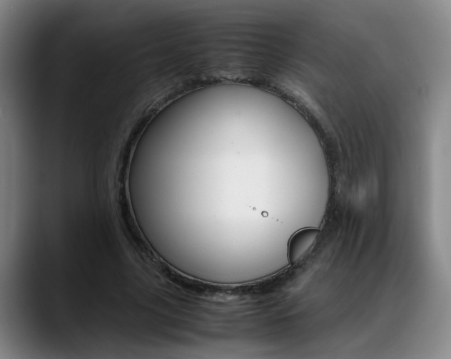 X0000089370635200706150844