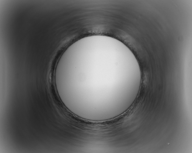 X0000089370636200706150844