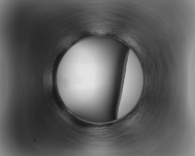 X0000089370638200706150844