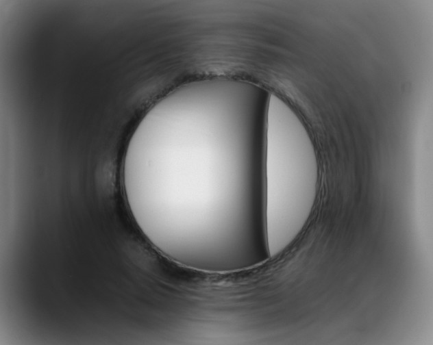 X0000089370640200706150844