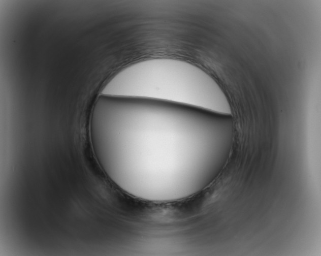 X0000089370642200706150844