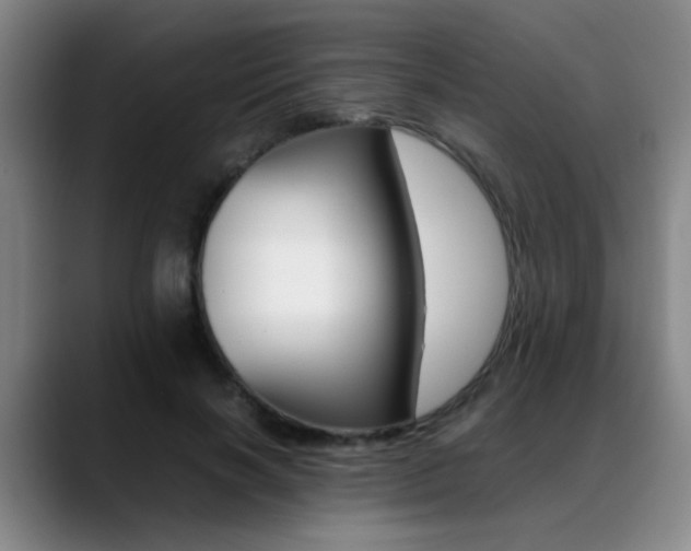 X0000089370646200706150844