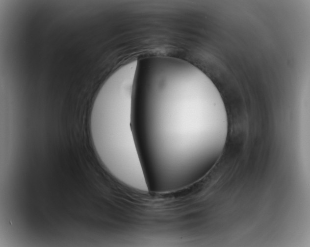 X0000089370647200706150844