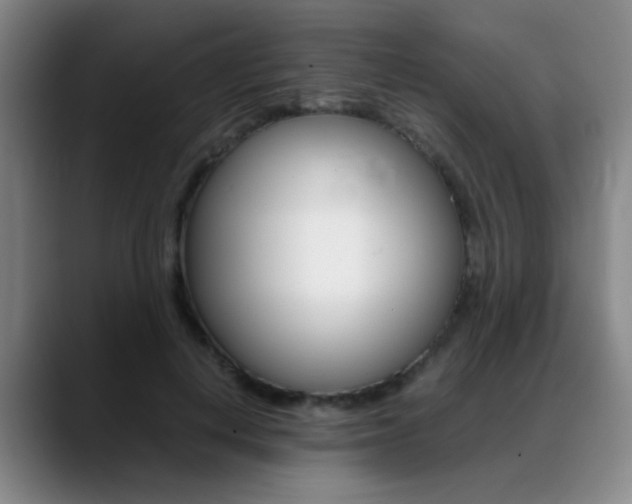 X0000089370648200706150844