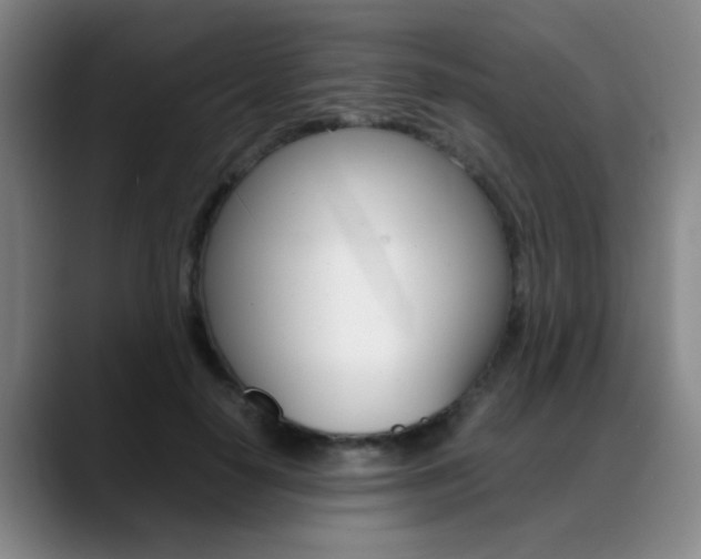 X0000089370650200706150844