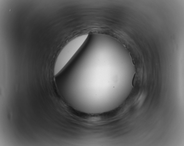X0000089370653200706150844