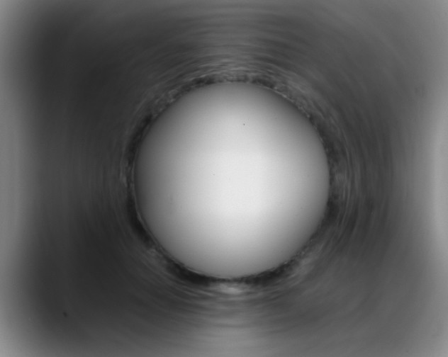 X0000089370654200706150844