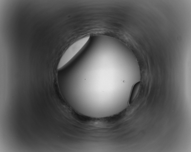 X0000089370655200706150844