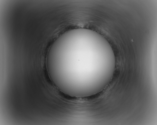 X0000089370656200706150844