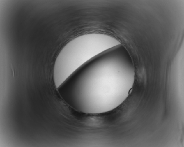 X0000089370657200706150844