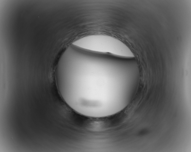 X0000089370658200706150844
