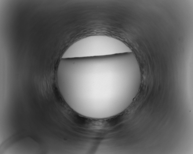 X0000089370659200706150844