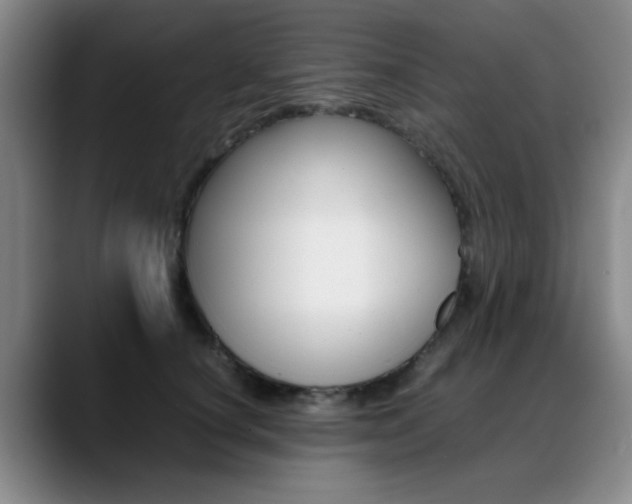 X0000089370660200706150844