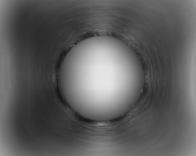 X0000089370662200706150844