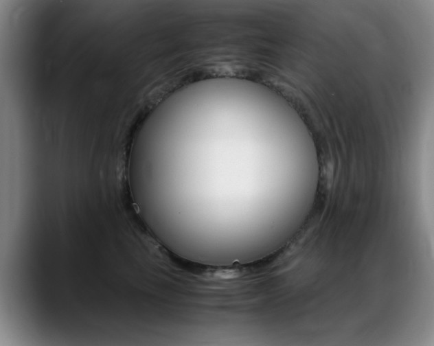 X0000089370665200706150844