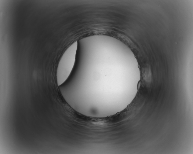 X0000089370667200706150844