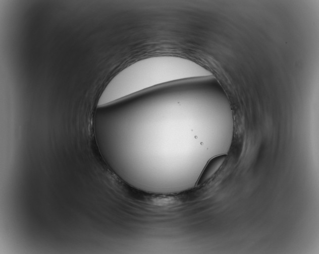 X0000089370669200706150844