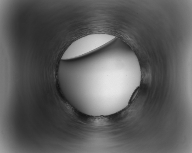 X0000089370670200706150844