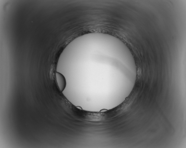 X0000089370671200706150844
