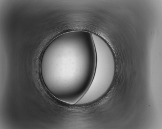 X0000089370673200706150844