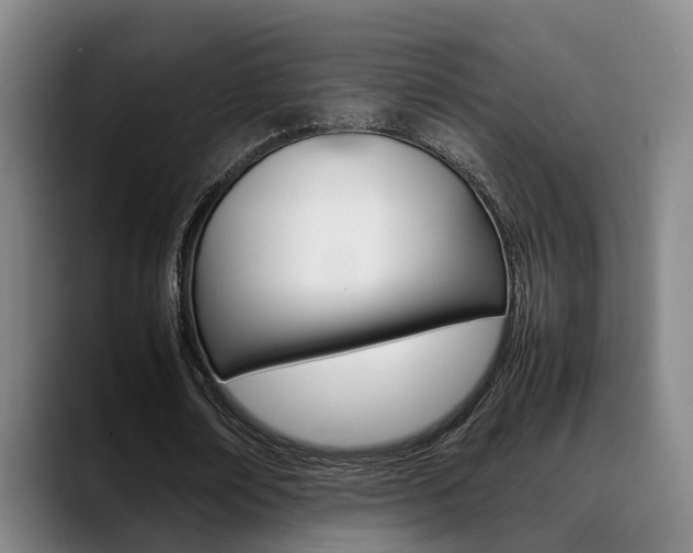 X0000089370674200706150844