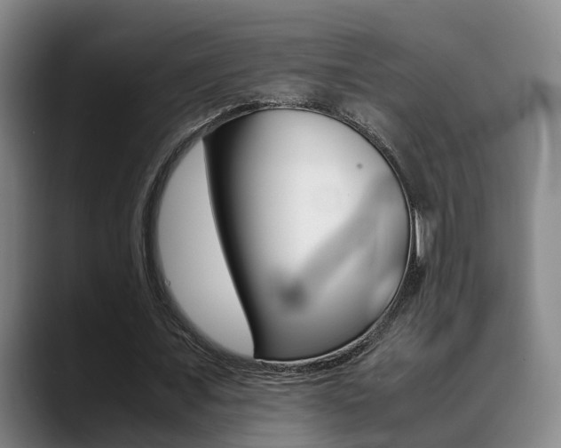 X0000089370675200706150844