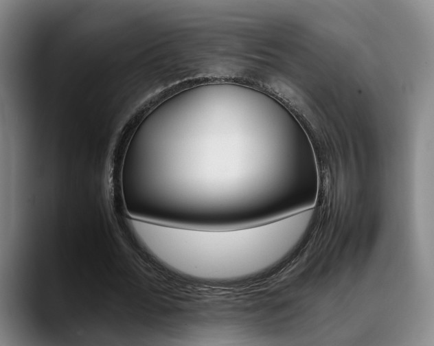 X0000089370676200706150844