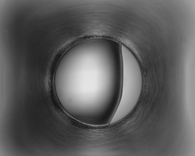 X0000089370680200706150844
