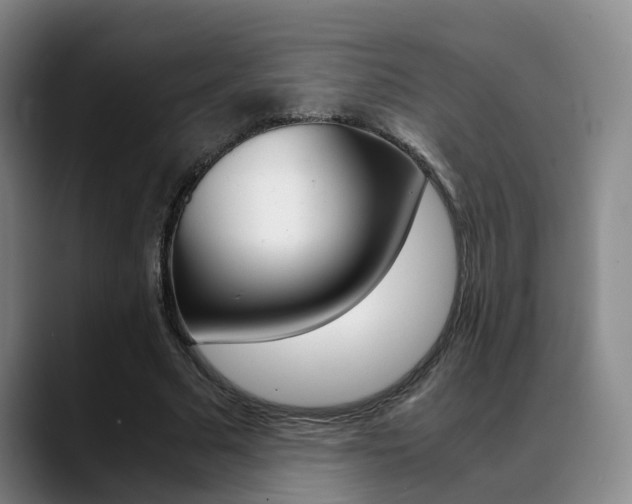 X0000089370681200706150844