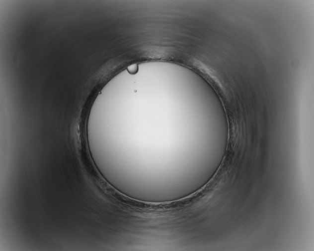 X0000089370682200706150844