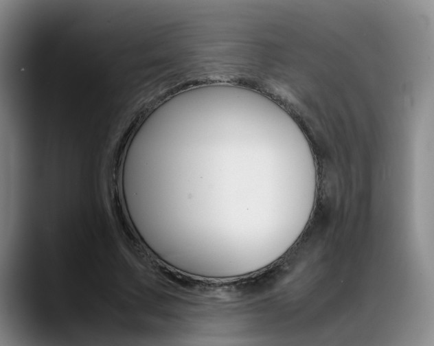 X0000089370683200706150843