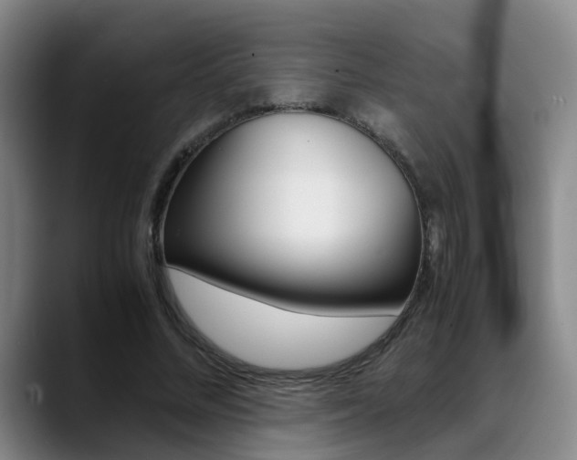 X0000089370684200706150843