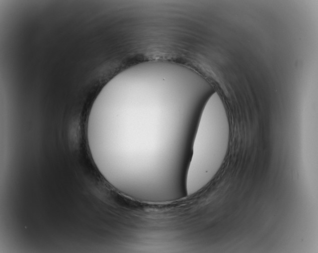X0000089370690200706150843