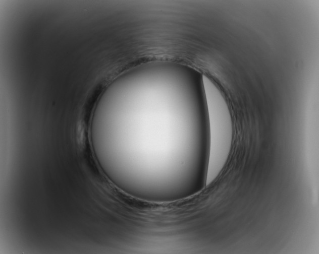 X0000089370692200706150843