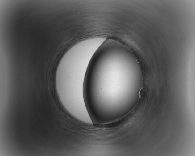 X0000089370693200706150843