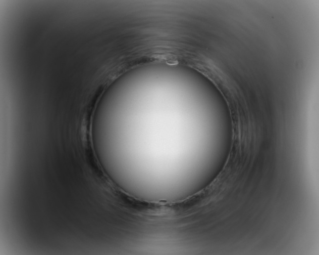 X0000089370696200706150843
