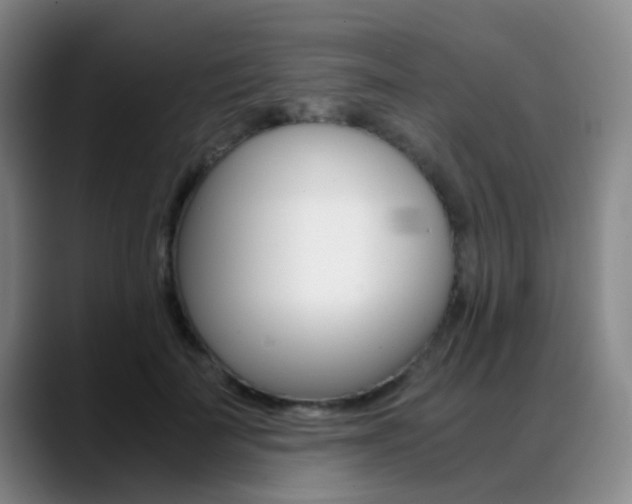 X0000089370699200706150843